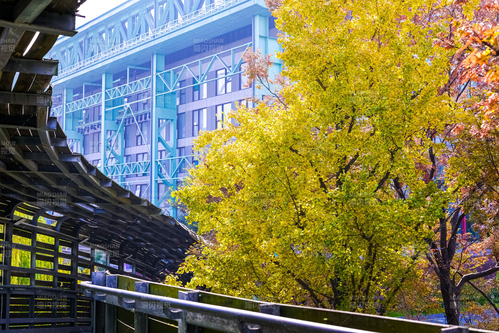 上海·世博公园