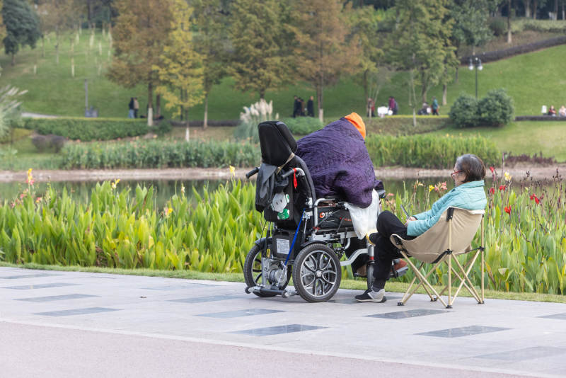 公园里温馨的陪伴