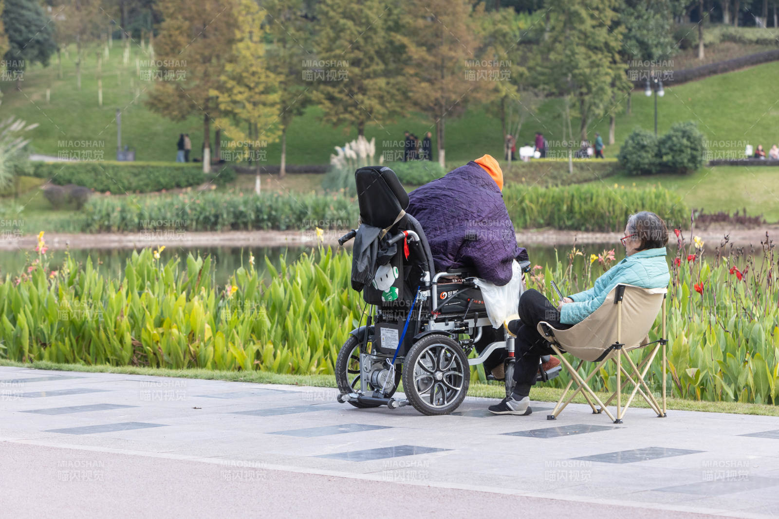 公园里温馨的陪伴