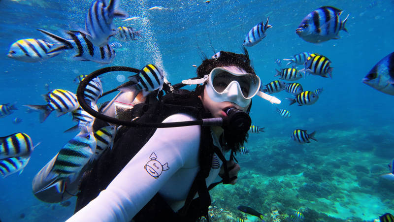 海底潛水遇魚群