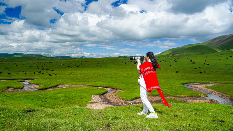 草原上的红色身影