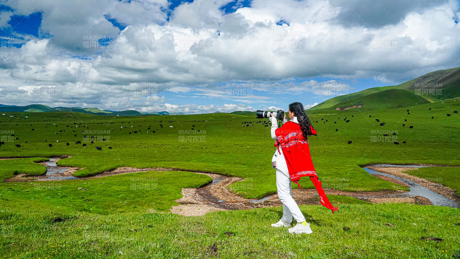 草原上的红色身影