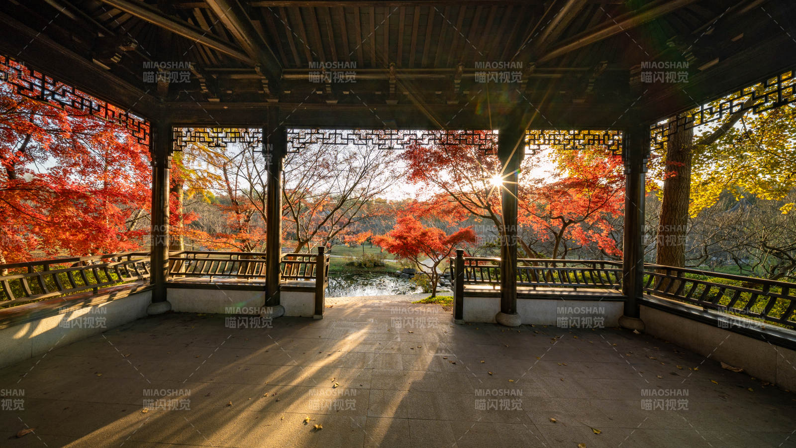 秋日亭中紅葉景