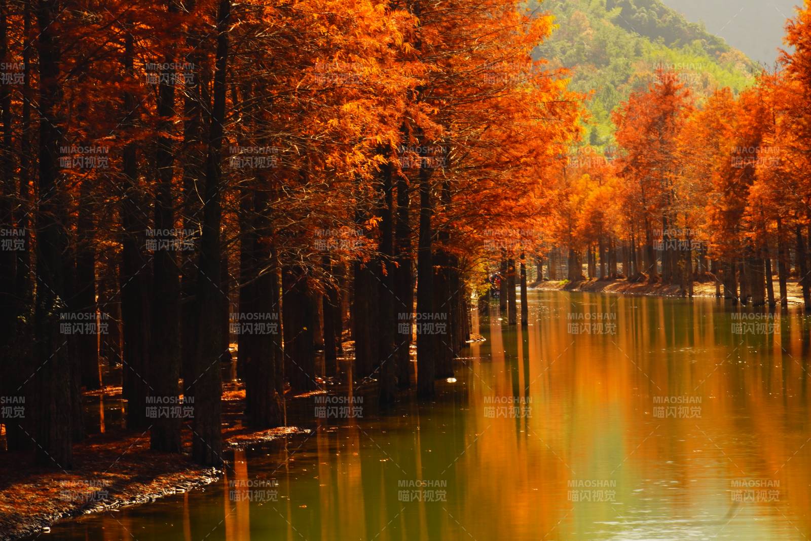 秋林倒影湖光位于皖南川藏线宁国市