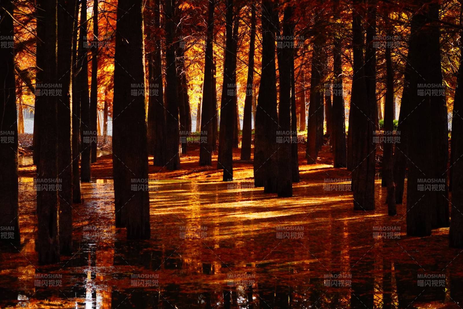 秋林倒影位于皖南川藏线