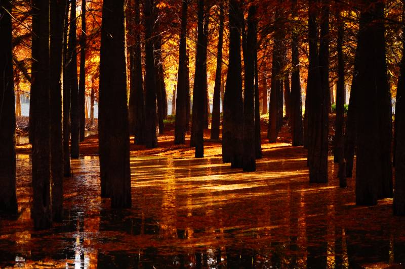 秋林倒影位于皖南川藏线