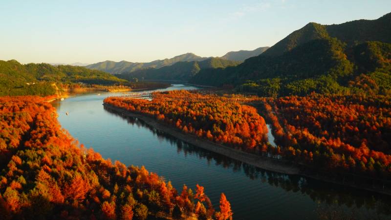 秋色映河山位于宁国市