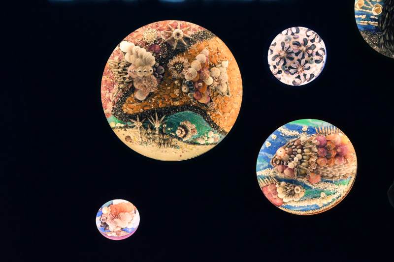 海洋館彩繪圓盤