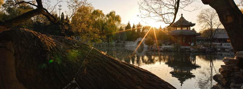 古莲花池夕阳映亭影