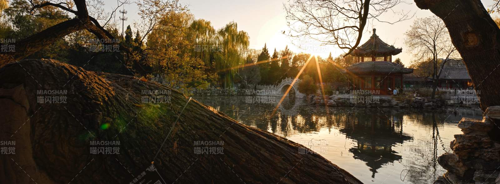 古莲花池夕阳映亭影