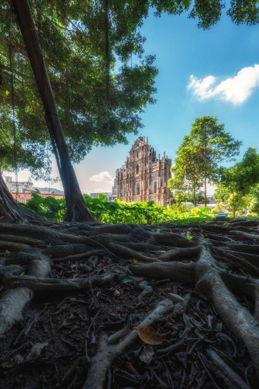 大三巴牌坊树影