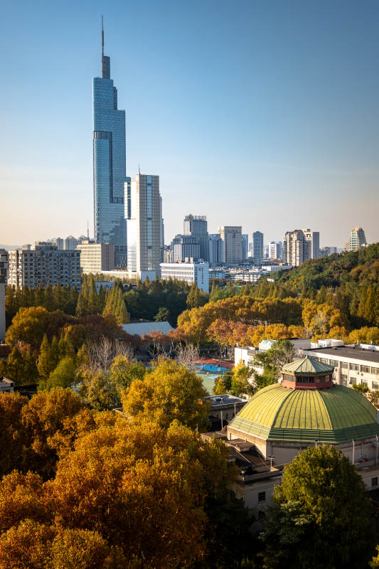 秋城高楼映金林