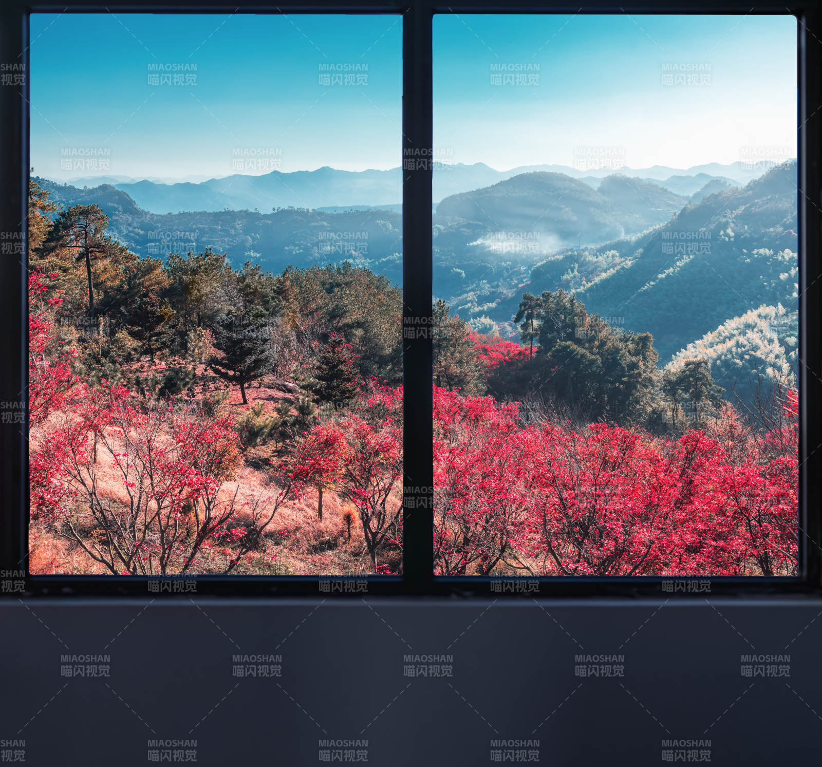 山間紅葉映藍(lán)天  四明山