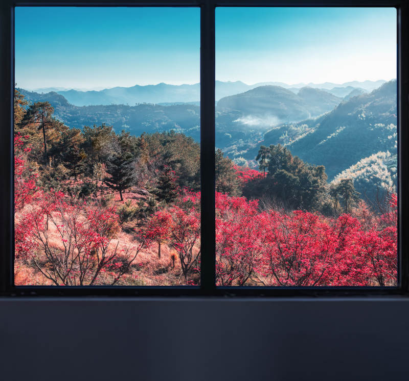 山间红叶映蓝天  四明山