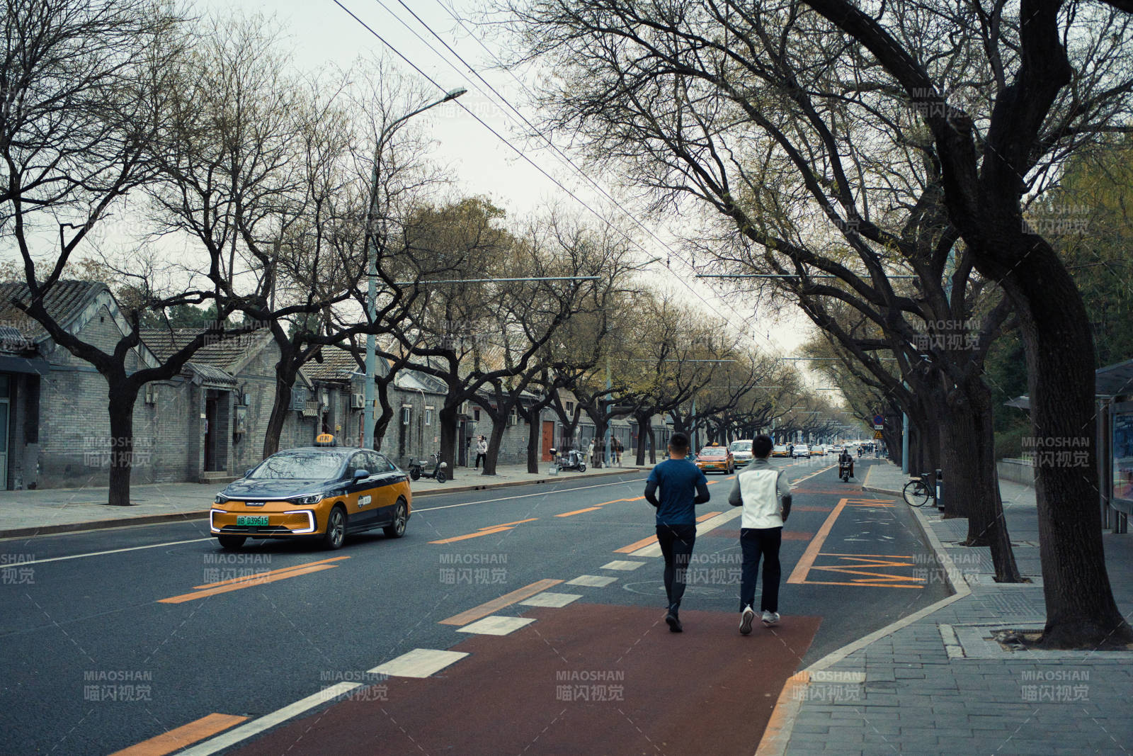 树影下的城市行者