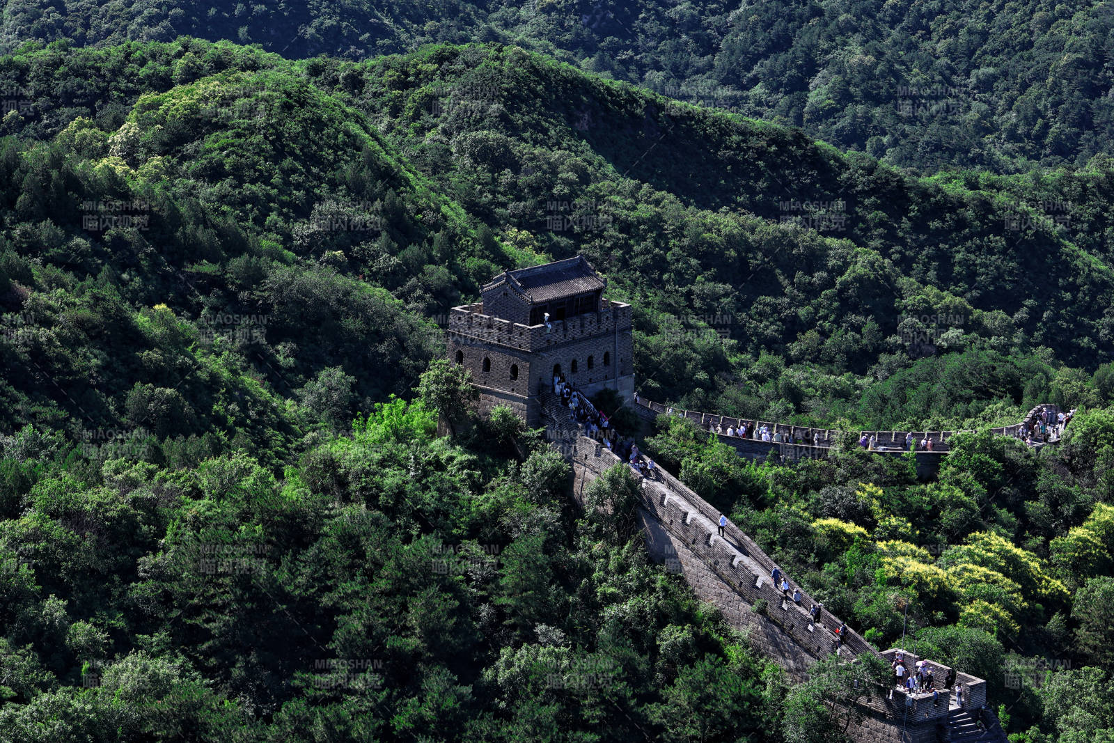 长城蜿蜒入山林