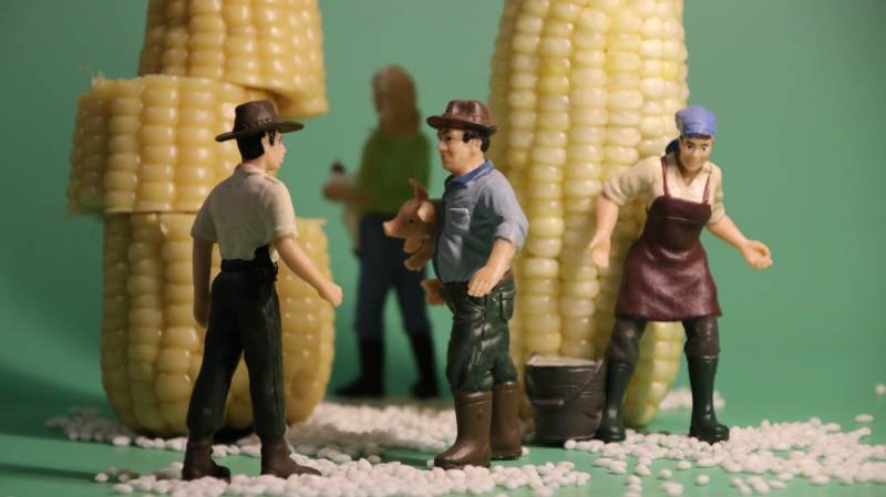 玉米地里的小人偶