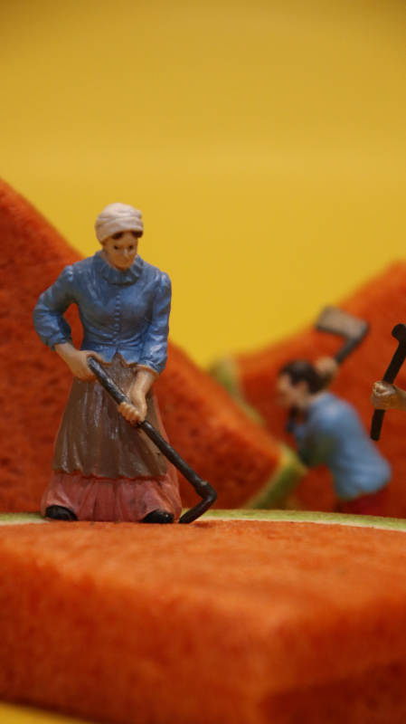 微型农妇劳作场景