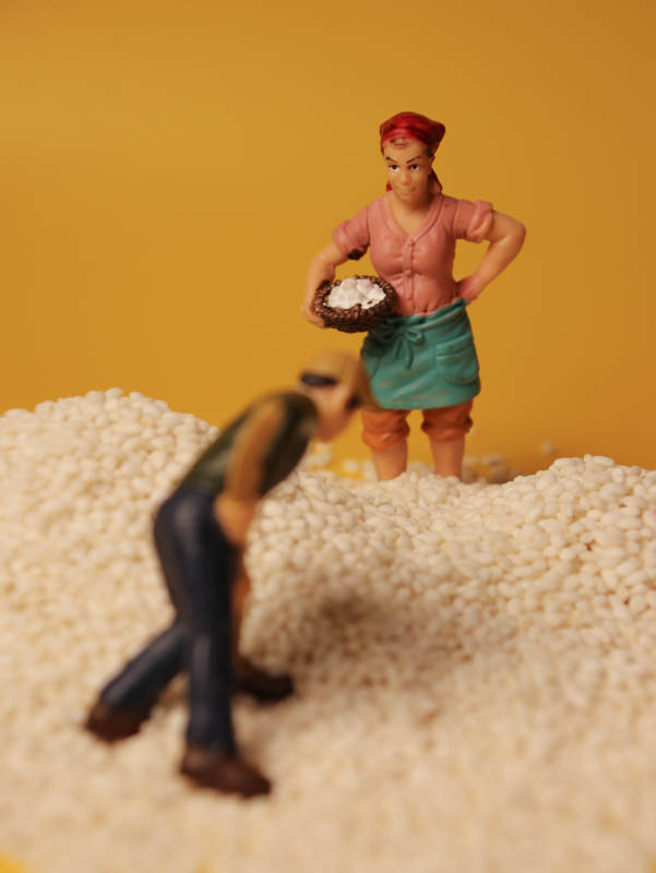 米堆上的小人偶