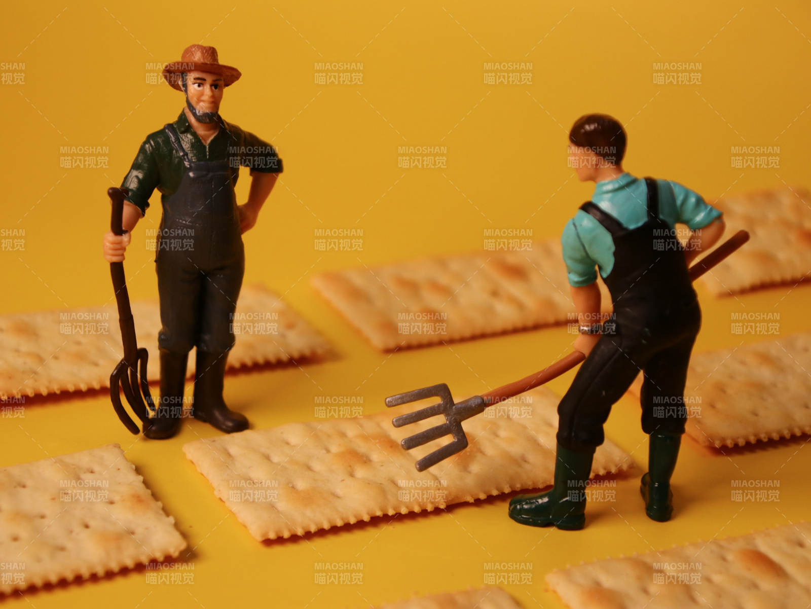 农民在田间劳作