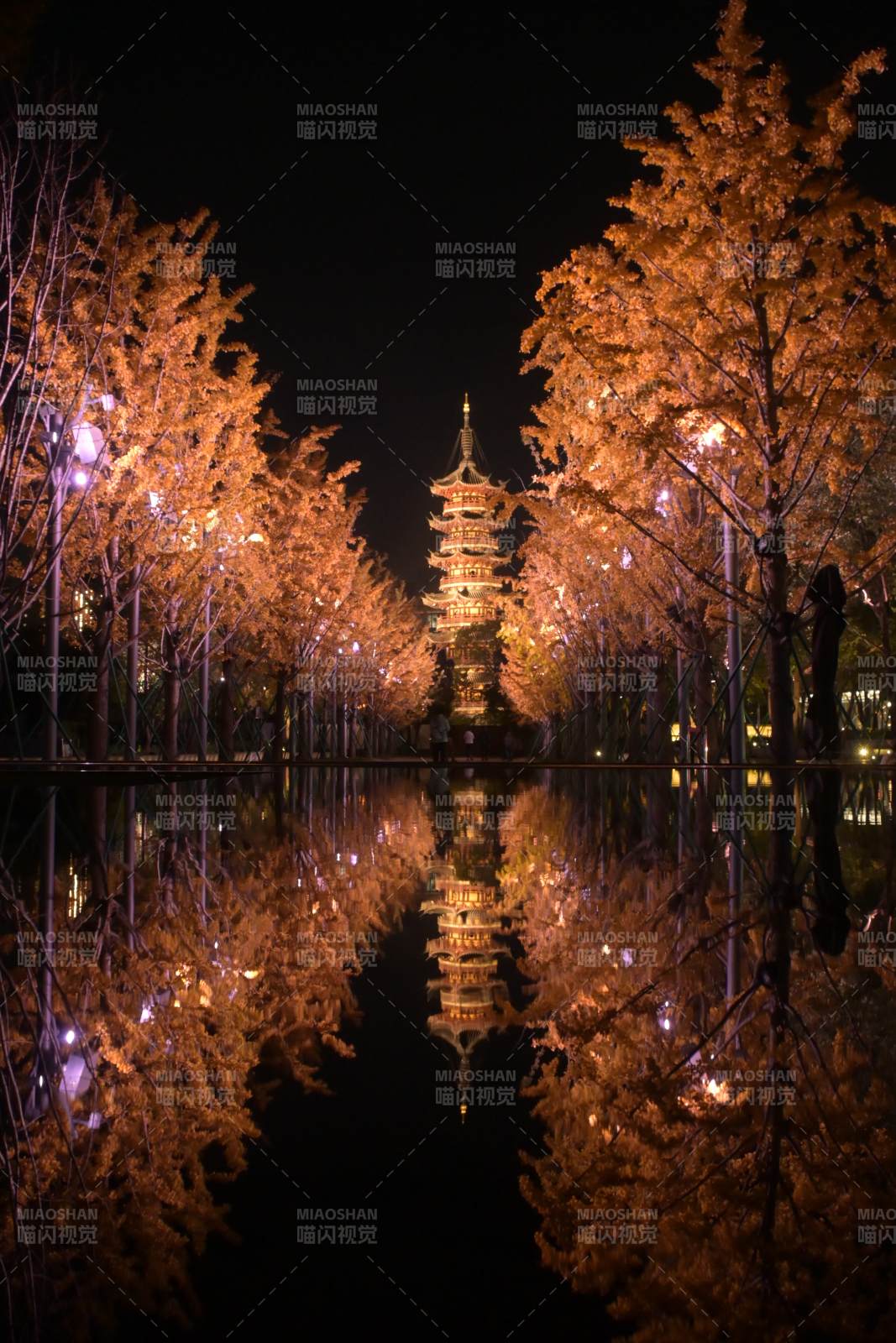 龙华寺夜塔映水秋色美