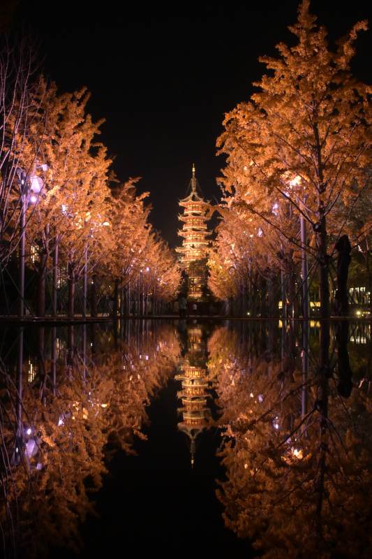 龙华寺夜塔映水秋色美