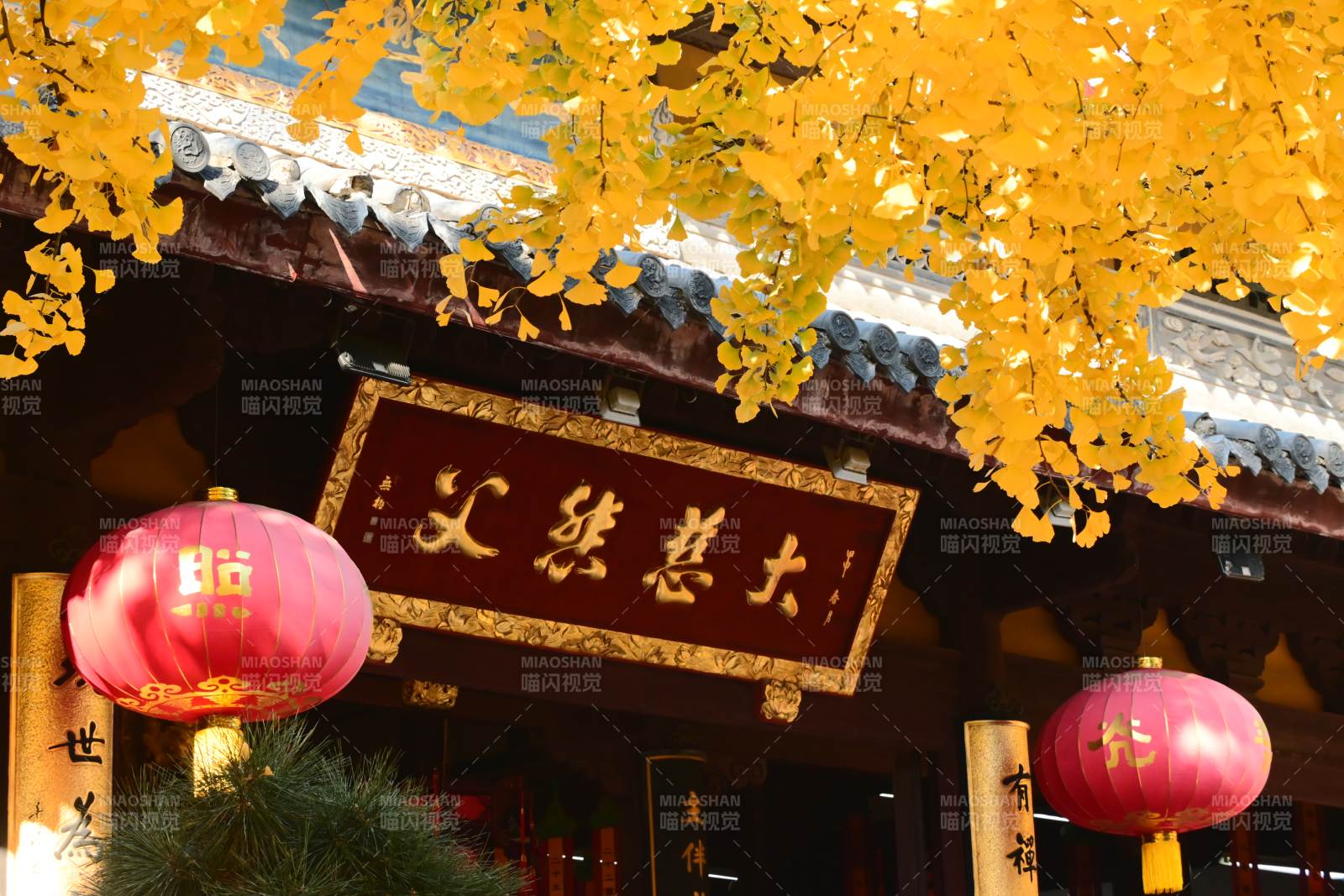 龙华寺 秋叶映古寺