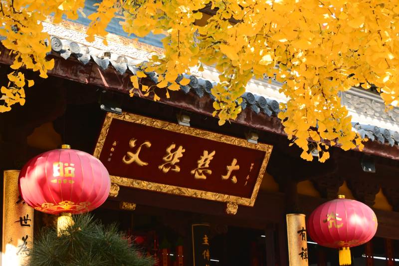 龙华寺 秋叶映古寺