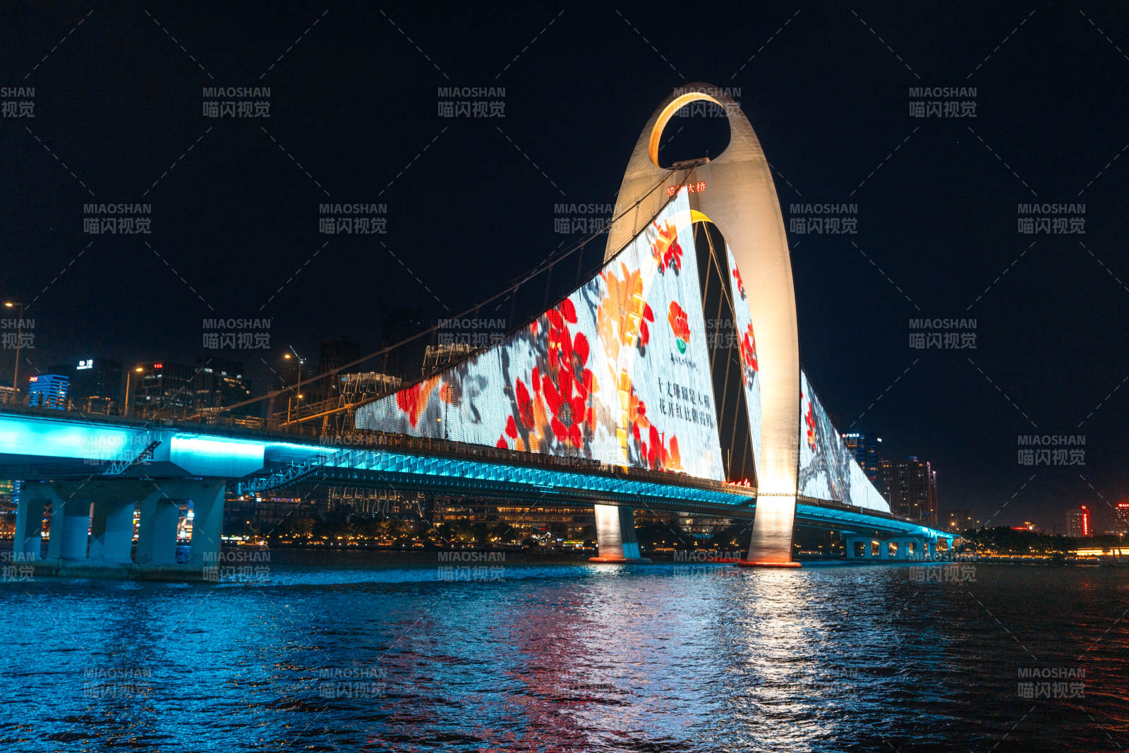 珠江上的广州猎德大桥夜景