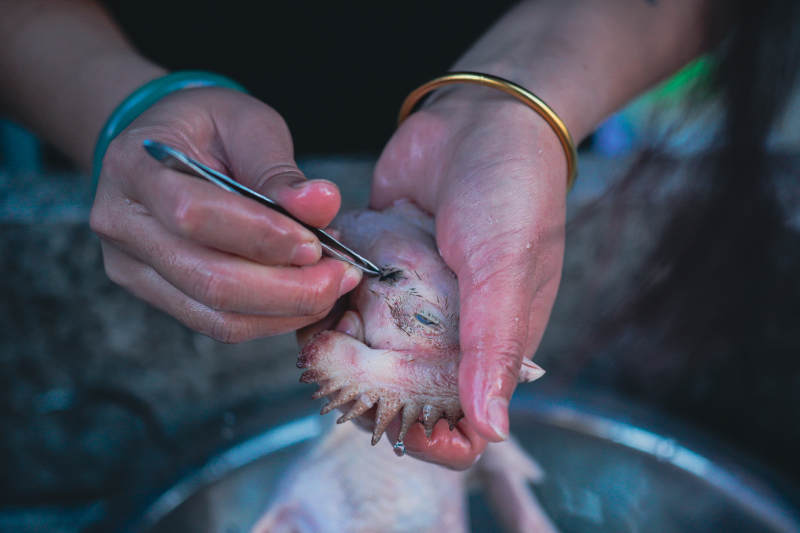 手剥鸡头细节特写