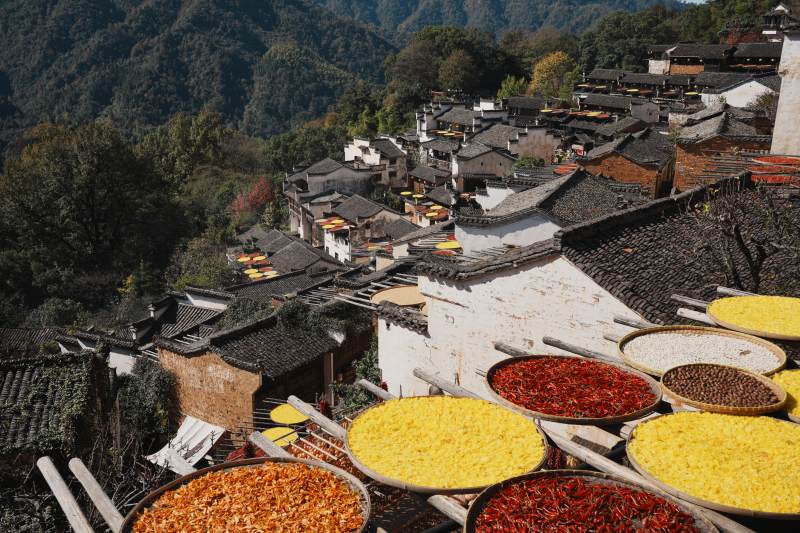 晒秋人家江西婺源