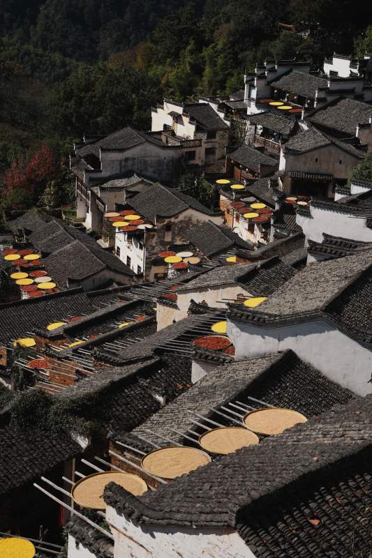 晒秋古村江西婺源