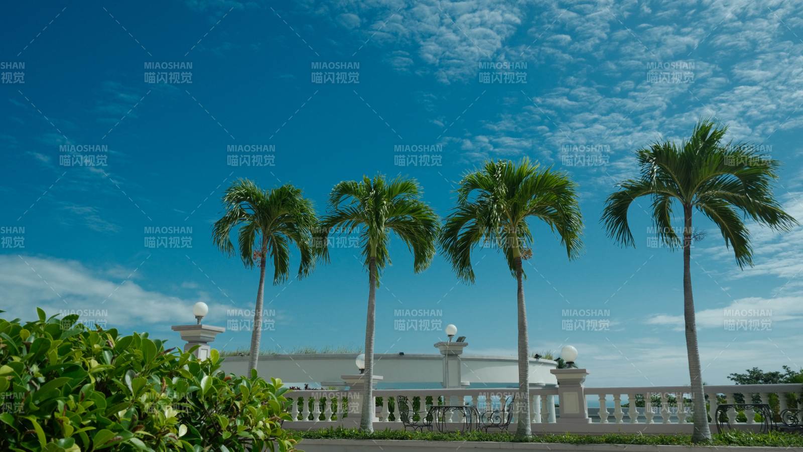 芽庄棕榈树下的白色栏杆