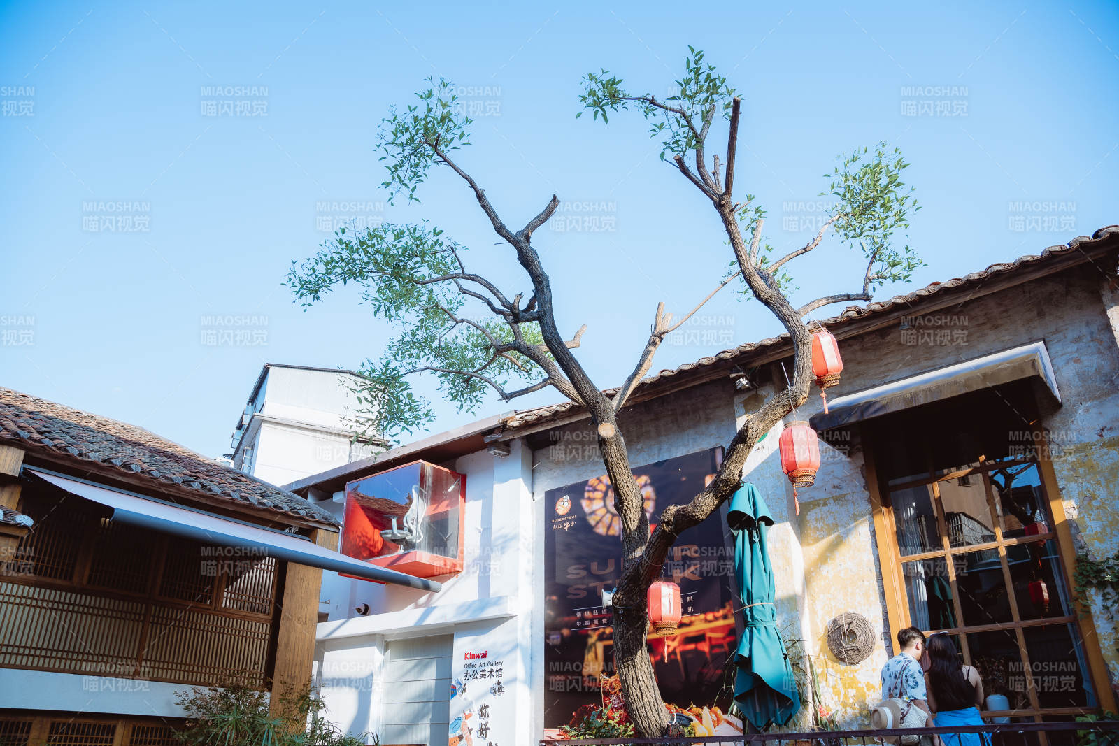 古巷树影映红灯