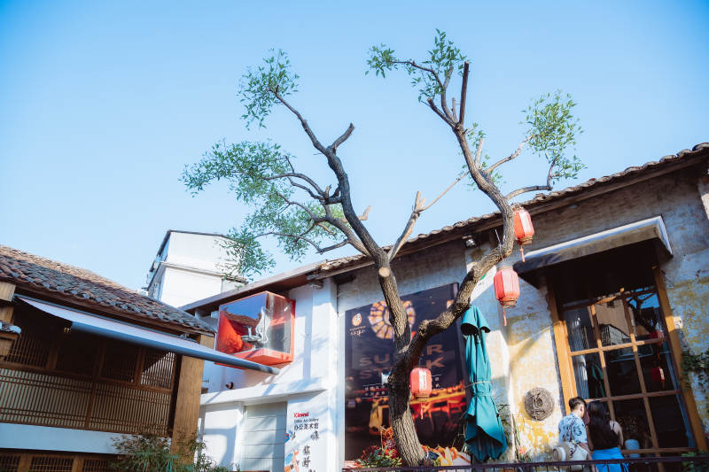 古巷树影映红灯