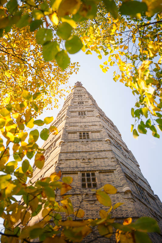 杭州保俶塔秋叶映塔影