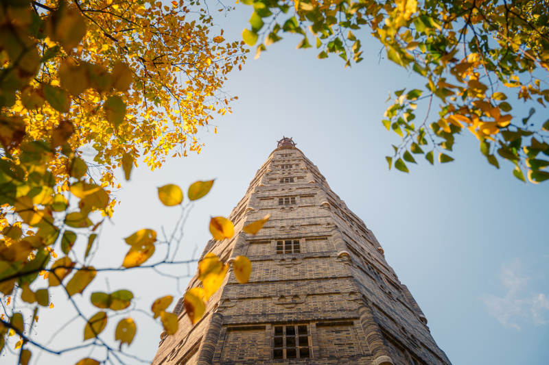 杭州保俶塔秋叶映塔影