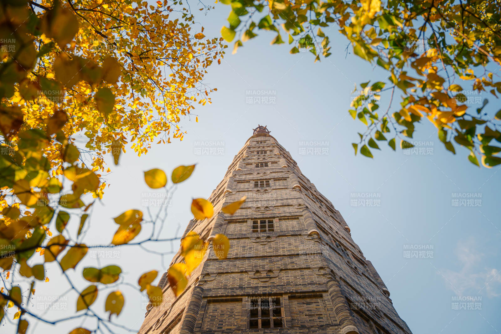 杭州保俶塔秋叶映塔影