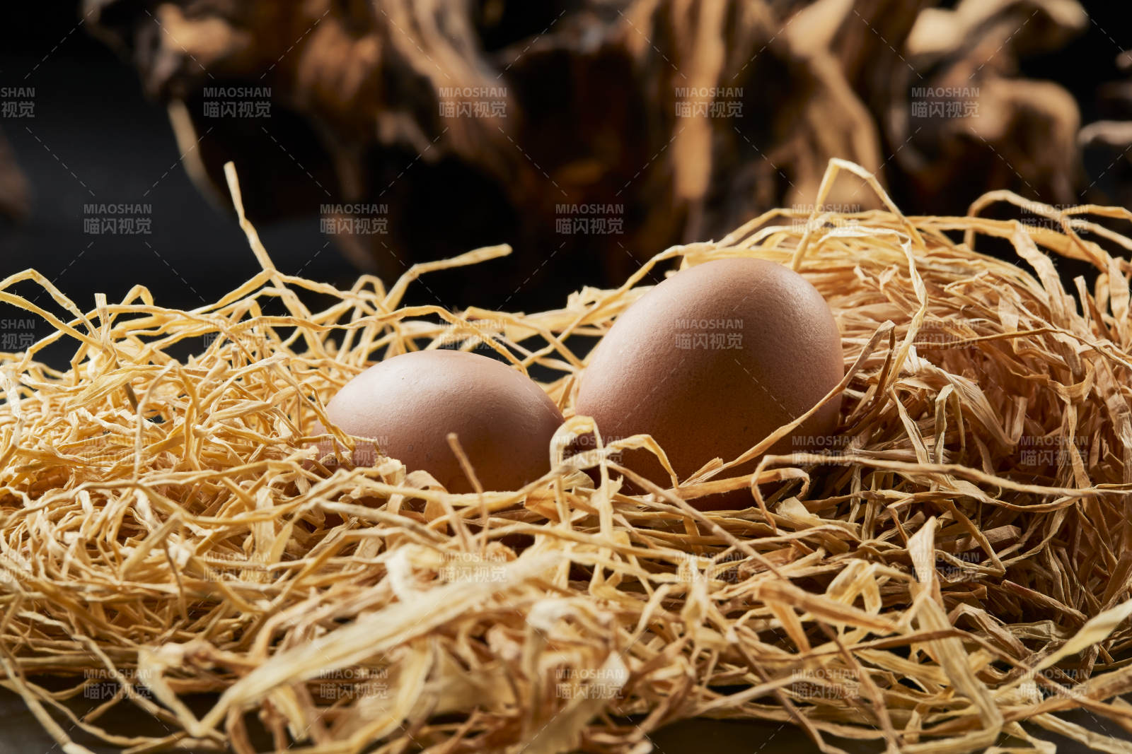 蛋在干草窝中