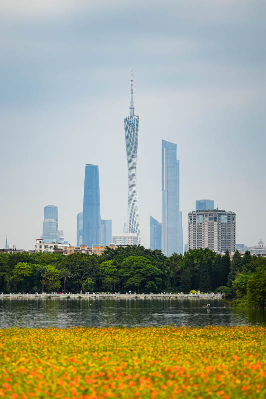 广州塔畔花海如画