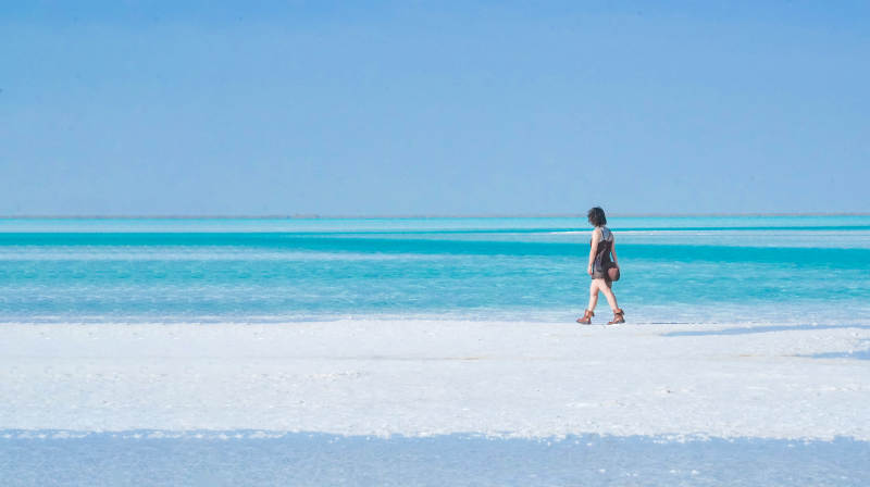 东台及乃尔盐湖边漫步独行