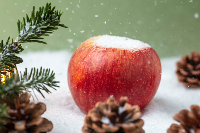 雪中红苹果
