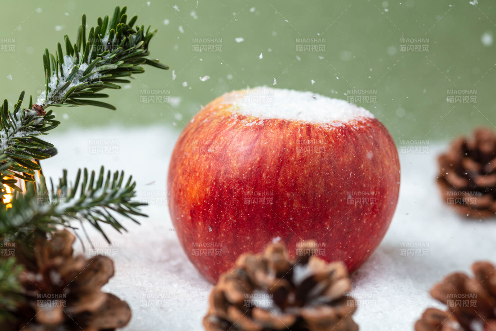 雪中红苹果