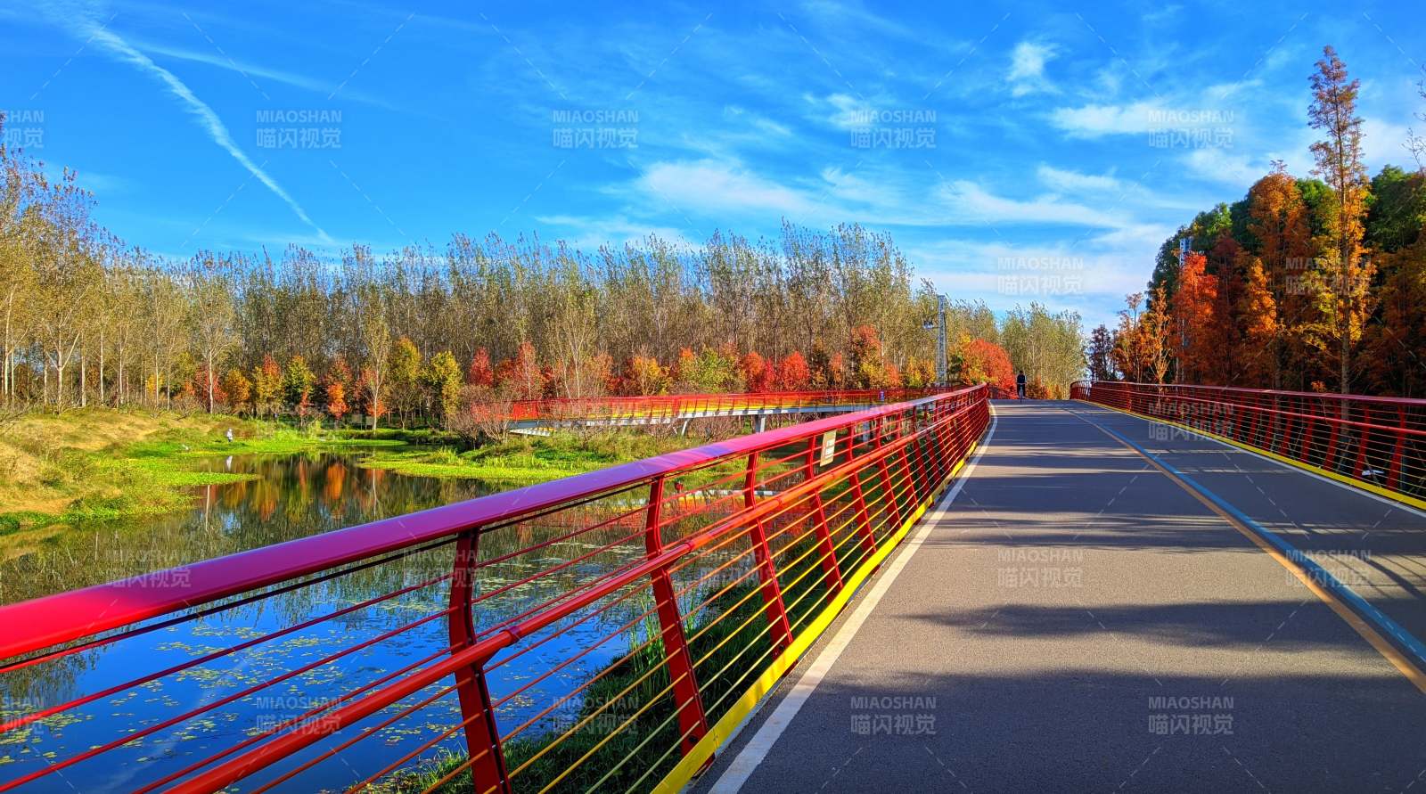 昆明滇池绿道水之桥秋日美景