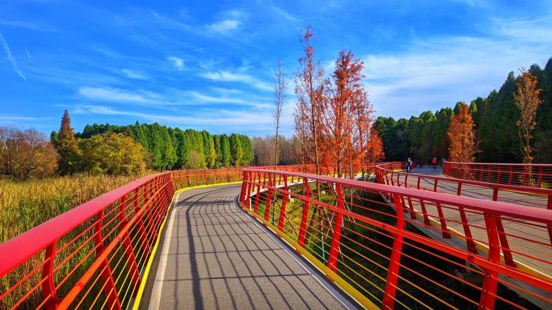 昆明滇池绿道水之桥秋日美景