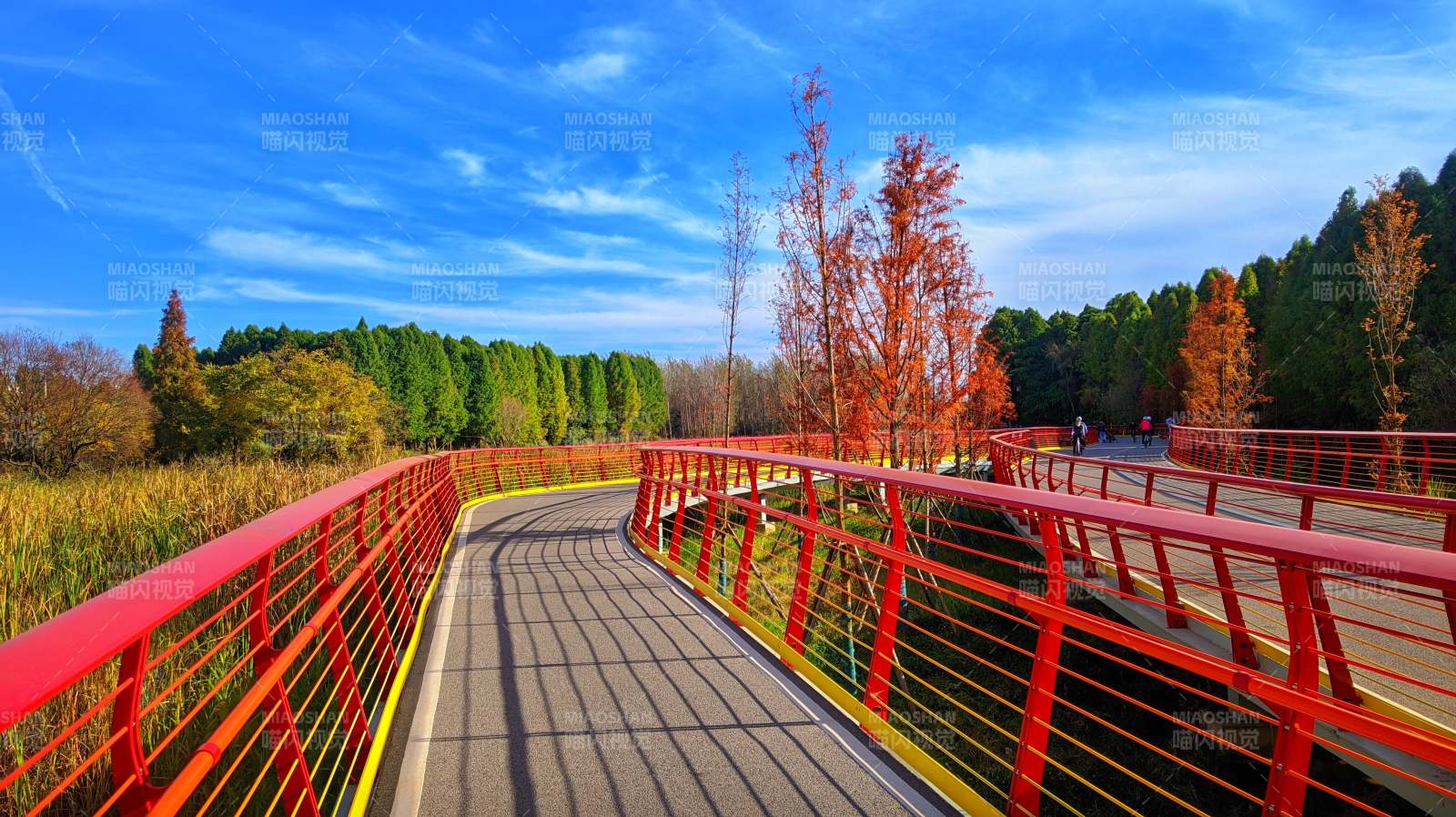 昆明滇池绿道水之桥秋日美景