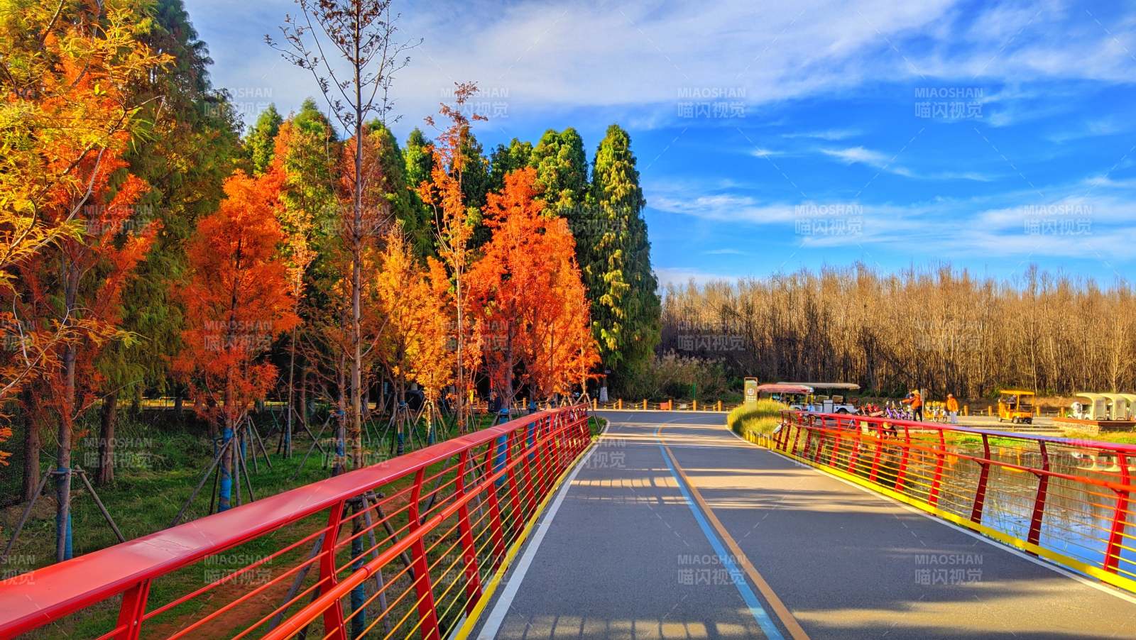 昆明滇池绿道水之桥秋日美景