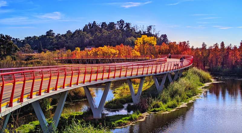 昆明滇池绿道水之桥秋日美景