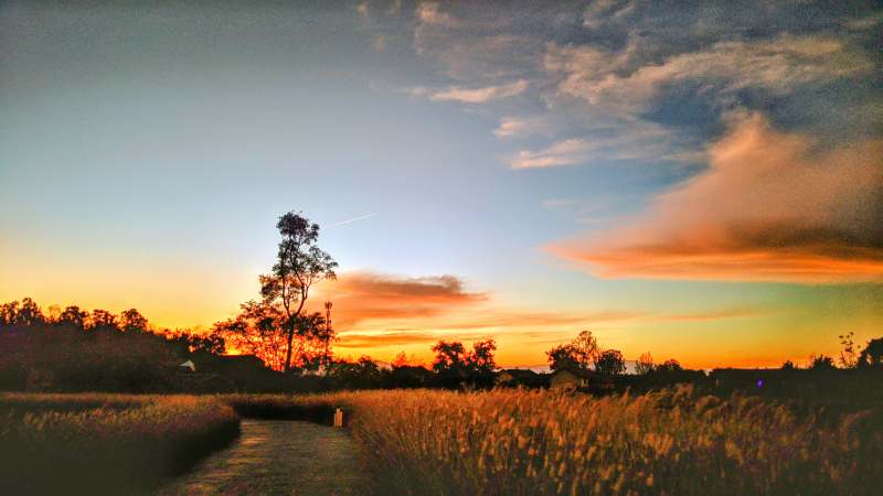 夕阳下的田野小径