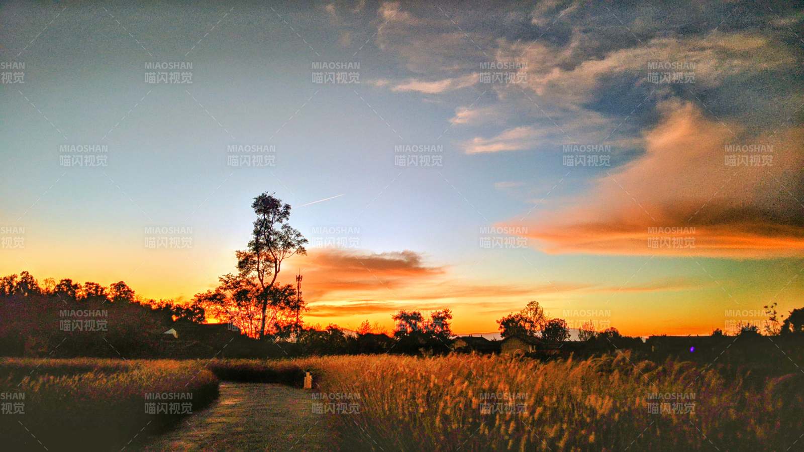 夕阳下的田野小径